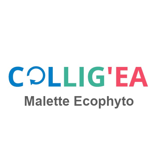 
Lien vers: https://moodea-paysdelaloire.educagri.fr/course/index.php?categoryid=423