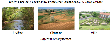 differents_ecosytemes