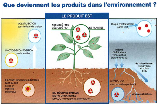 produits_environnement