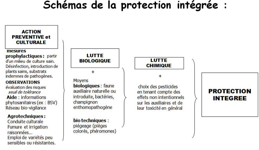 protection_integree